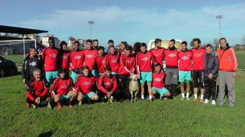 Ak&ccedil;akocaspor K&ouml;t&uuml; Gidişe Dur Demek İ&ccedil;in Kurban Kesildi