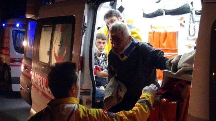 Hayvan Yüklü Kamyon İle Otomobil Çarpıştı: 1 Ölü, 3 Yaralı G1