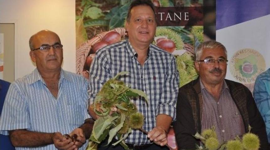 Kestane &Uuml;retimi Artırılmalı