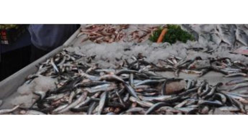 Erzurum Halkı En &Ccedil;ok Hamsiyi Tercih Ediyor