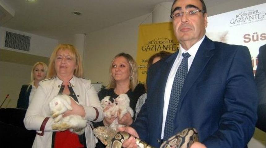 Hayvanların Katıldığı Konferans Renkli G&ouml;r&uuml;nt&uuml;lere Sahne Oldu