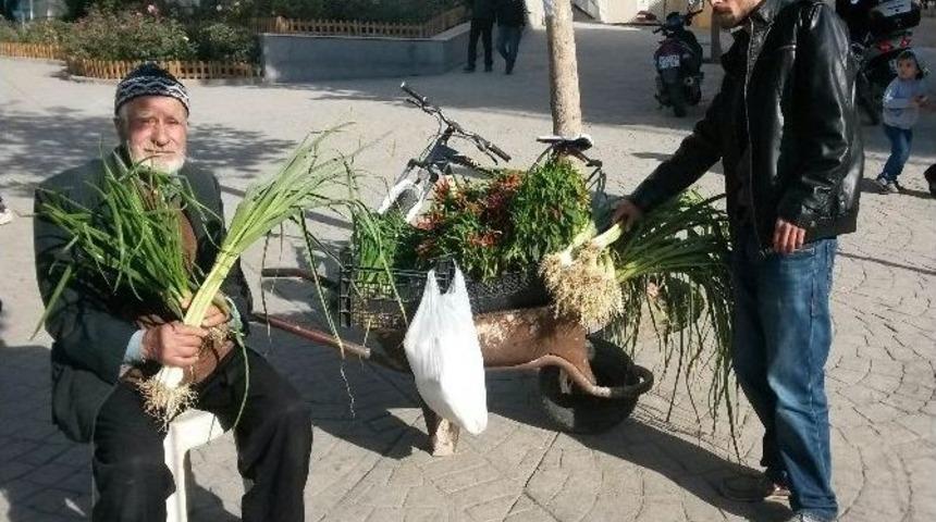 Tekirdağ’ın Organik Dedesi