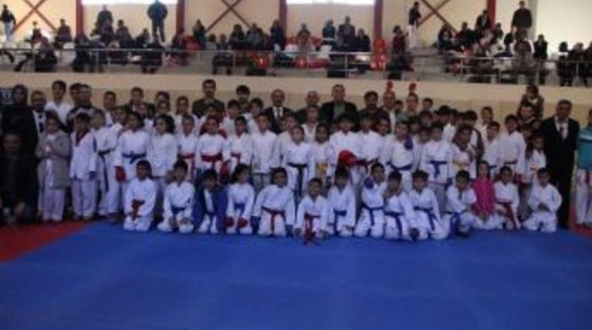 Van&rsquo;da Karate Dostluk Turnuvası