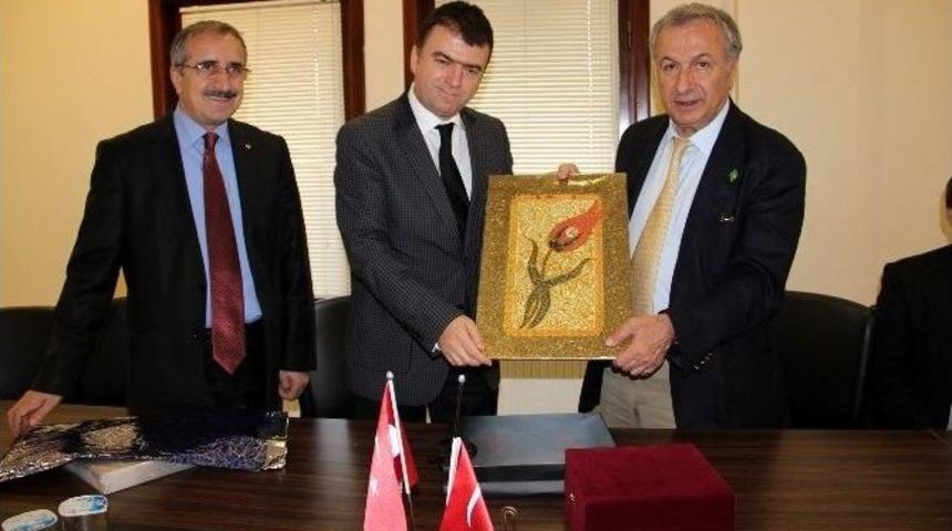 T&uuml;rsab Başkanı Başaran Ulusoy: