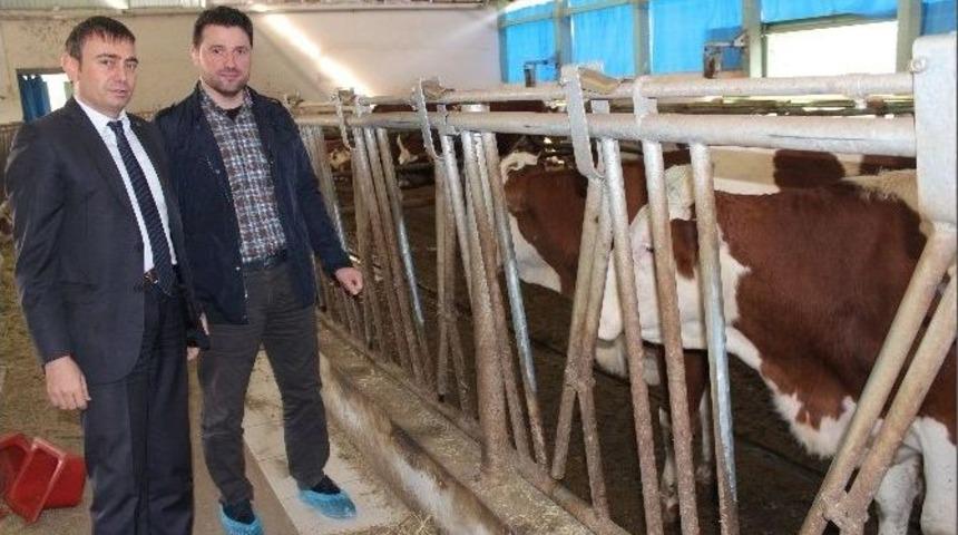 Trabzon Kendi Tereyağını &Uuml;retmek İ&ccedil;in Artık Dışarıdan S&uuml;t Almayacak