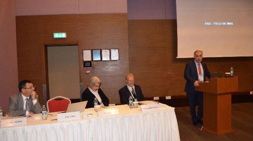 Karadeniz &Uuml;lkeleri Deniz Ekosistemi Ve Balık&ccedil;ılığı İ&ccedil;in Bir Araya Geldi