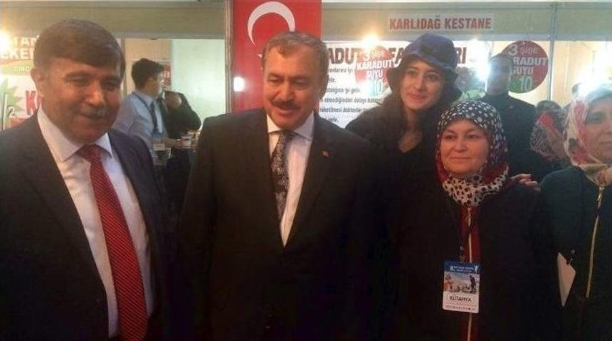 Ankara&rsquo;da Emet G&uuml;nleri