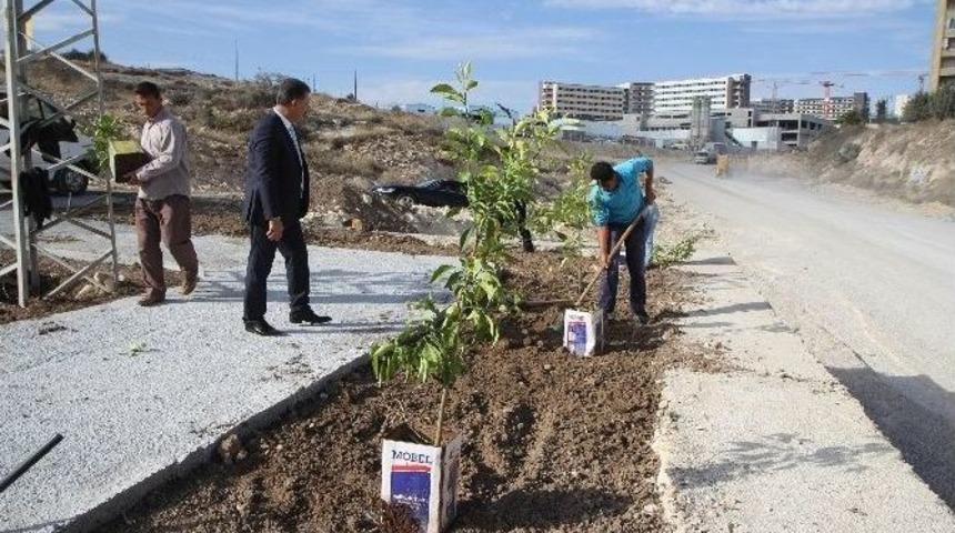 Toroslar Yeni Bir Park Daha Kazanıyor