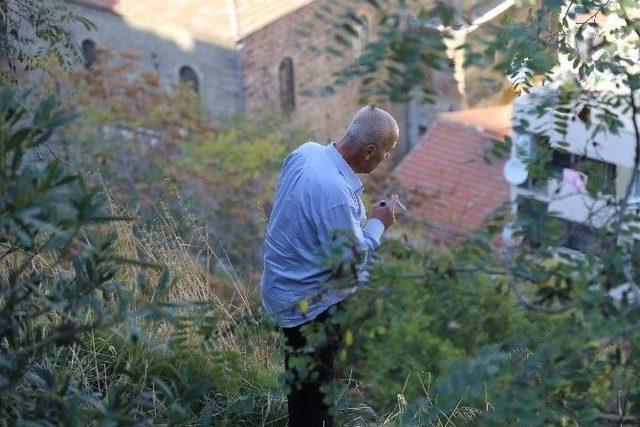 Bir Kutu Hap İçip, İntihara Teşebbüs Etti