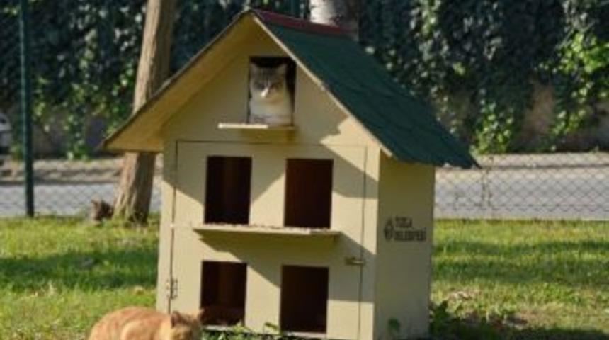 Tuzla’da Sokak Hayvanları Koruma Altında