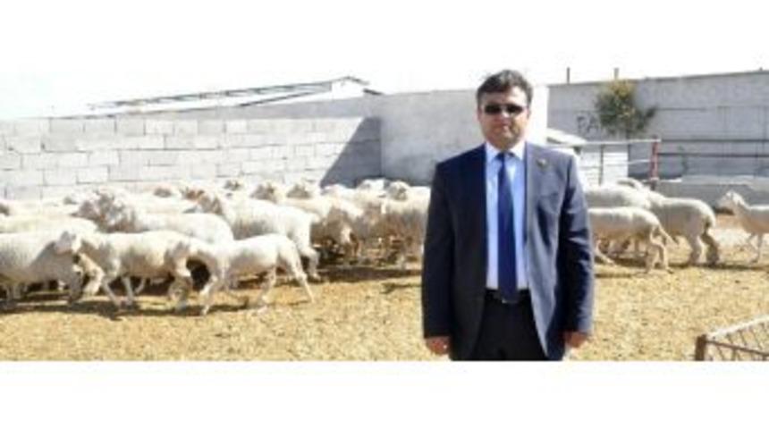 &Uuml;reticiler 10 Milyon Tl Destekleme Alacak