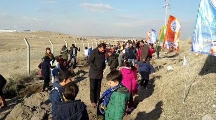Tema Talas Doğayı Yeşillendirmeye Devam Ediyor