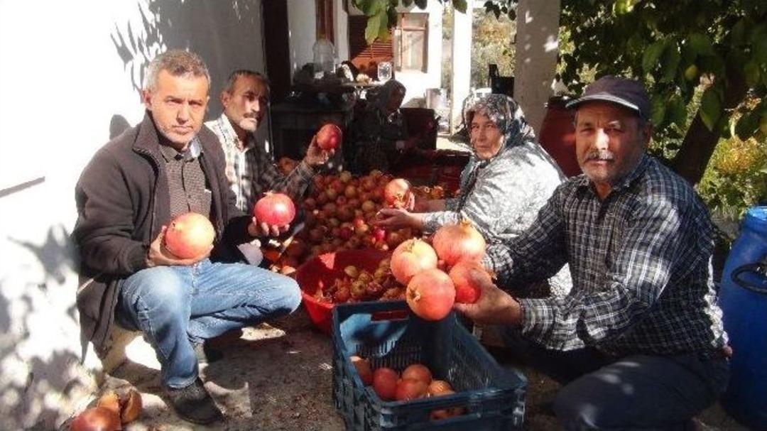 (&ouml;zel Haber) Para Etmeyen Nar Ekşi Oluyor