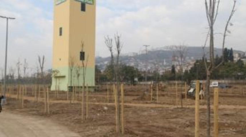 Seka K&uuml;lt&uuml;r Parkı&rsquo;nda &Ccedil;alışmalar Devam Ediyor