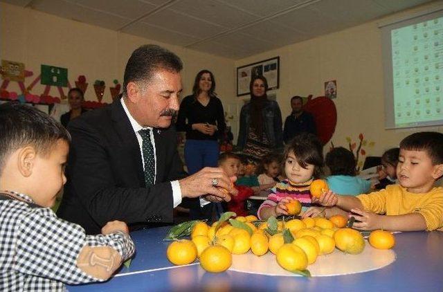 Toroslar Belediyesi’nden Halka Ücretsiz Narenciye