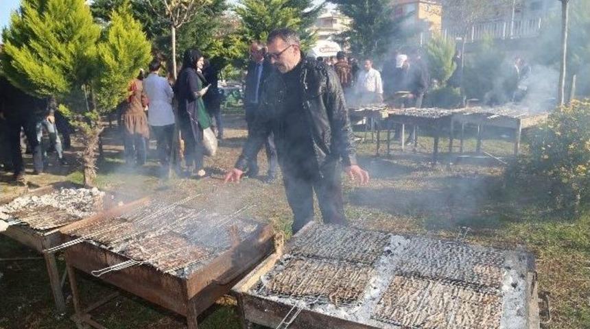 2.5 Ton Hamsiyi Bir Saatte T&uuml;kettiler