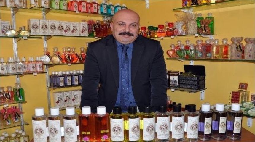 Kertil &Ccedil;am Markası Bandırma&rsquo;da