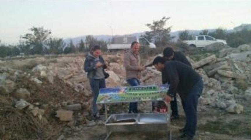 Ereğli Belediyesi Sokak Hayvanlarına Sahip &Ccedil;ıkıyor