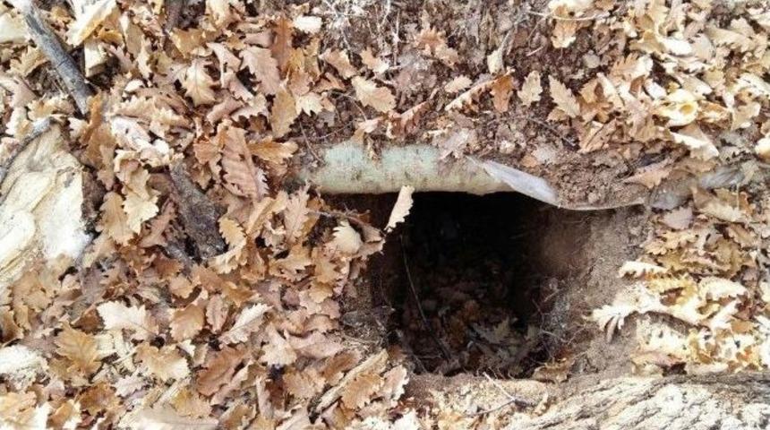 Bing&ouml;l, Iğdır Ve Kars&rsquo;taki Pkk Sığınaklarına Dev Operasyon