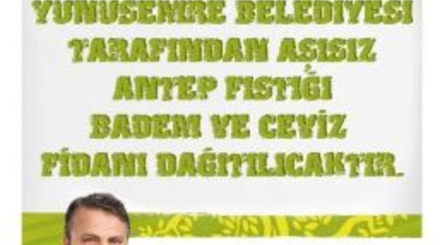 &Uuml;reticilere Fidan Dağıtımı Yapılacak