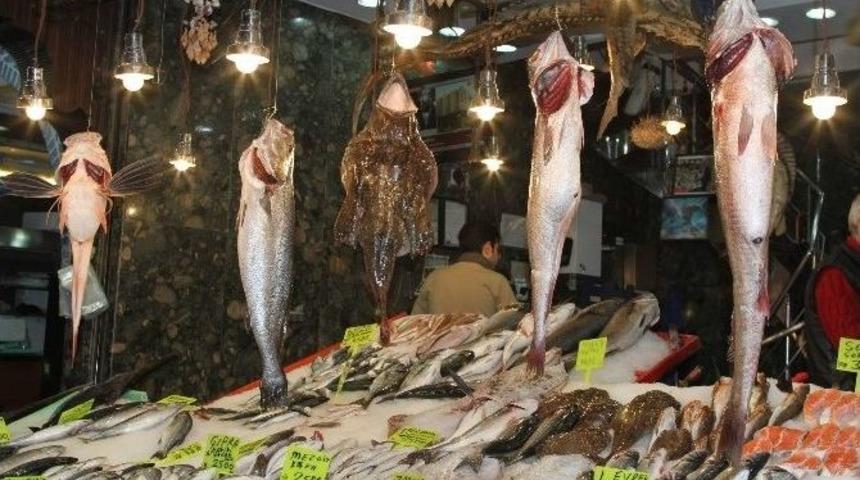 (&ouml;zel Haber) Dev Mezgitler Şaşırtıyor