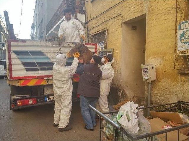 (özel Haber) Evdeki Çöpler İçin Kendini Astı