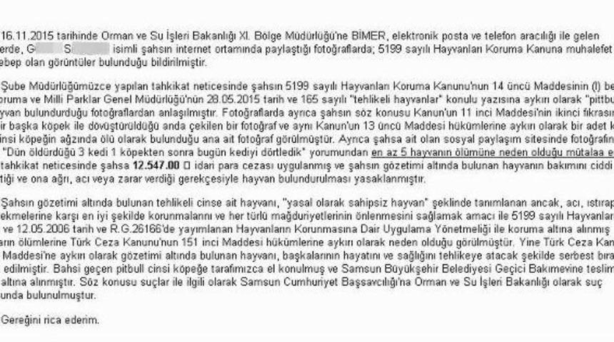 Dehşetin Fotoğraflarını Paylaşan Gen&ccedil; Kıza Rekor Ceza