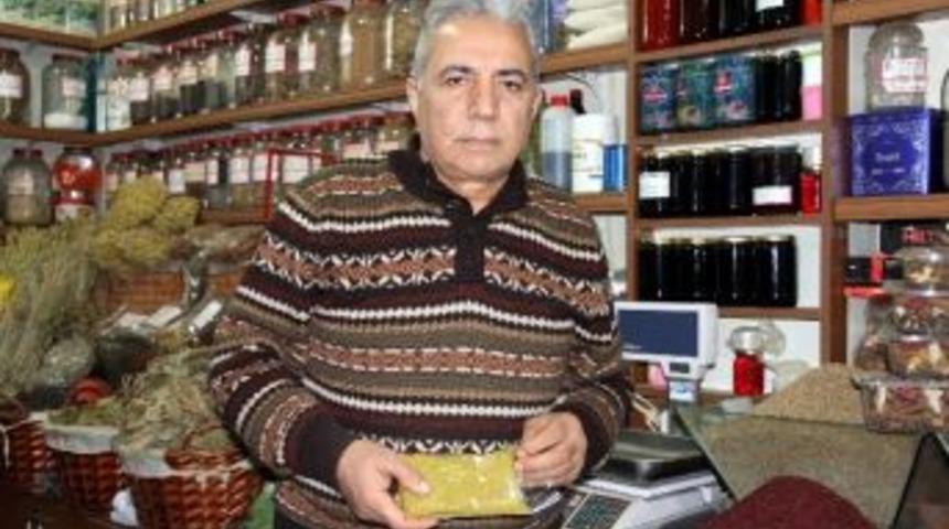 Bitki &Ccedil;aylarına Rağbet