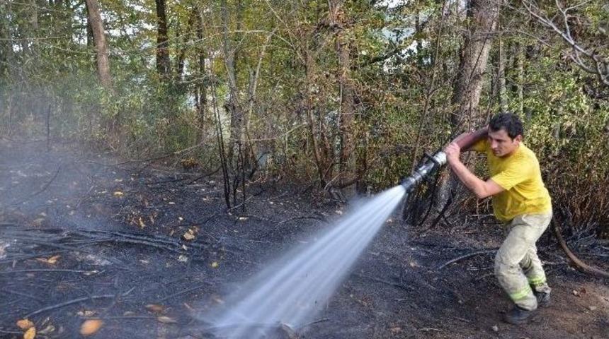 Alaplı&rsquo;da Ormanlık Alanda Yangın