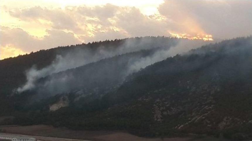 Balıkesir&rsquo;in Ciğerleri Yok Olmadan M&uuml;dahale