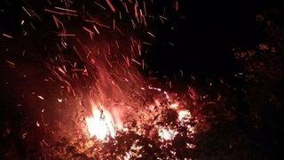 Çatalpınar’da Orman Yangını