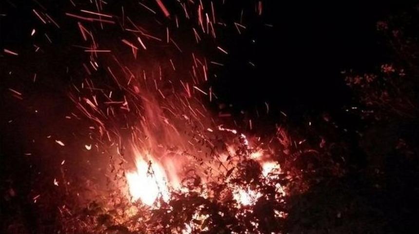 Çatalpınar’da Orman Yangını