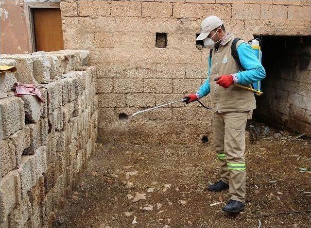 Haliliye’de Larva Mücadelesi Kırsal Mahallelerde De Devam Ediyor