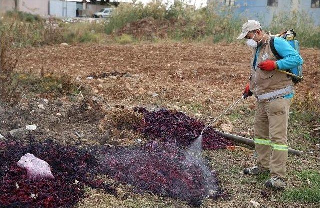 Haliliye’de Larva Mücadelesi Kırsal Mahallelerde De Devam Ediyor