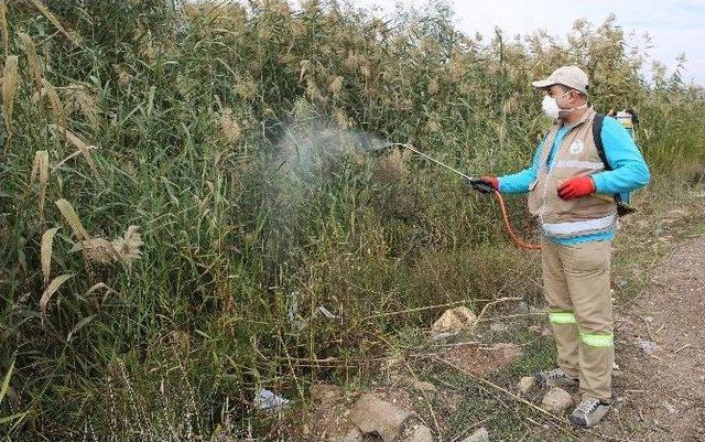 Haliliye’de Larva Mücadelesi Kırsal Mahallelerde De Devam Ediyor