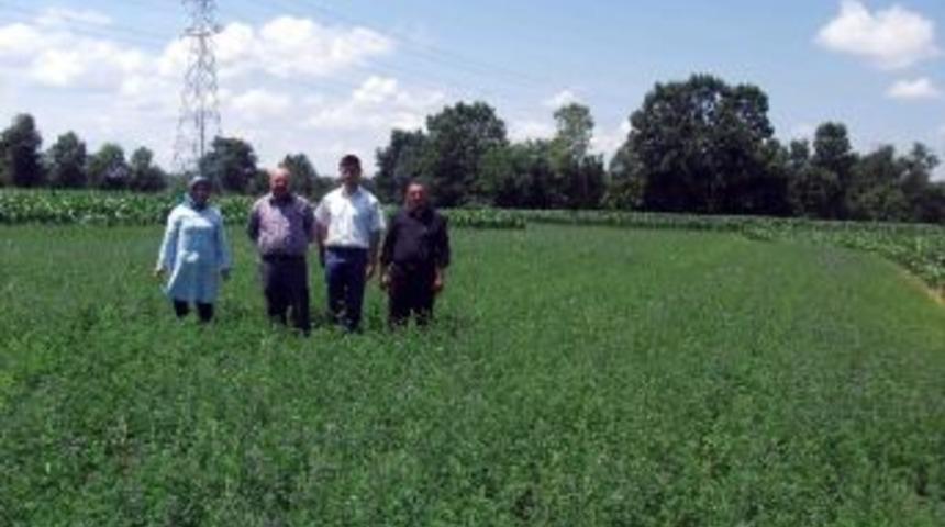 Hibe Tohumlar &Ccedil;ift&ccedil;ileri Kurtardı