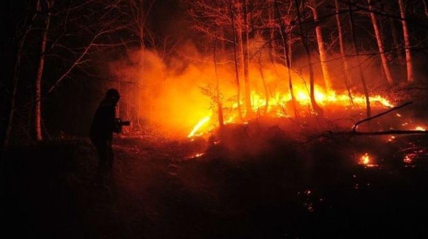 Bursa&rsquo;da Orman Yangını Lodos Etkisiyle Kontrol Altına Alınamıyor