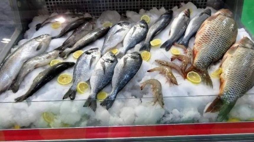 Kuzey Irak Türkiye’den Su Ürünleri İstiyor