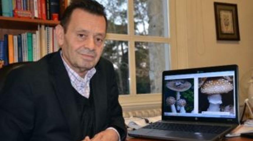 Sonbahar&rsquo;da Mantar T&uuml;ketimine Dikkat