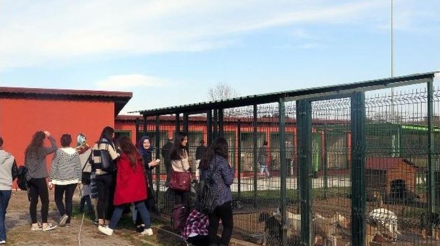 Sapanca Myo &Ouml;ğrencilerine Sakarya Gezisi D&uuml;zenlendi