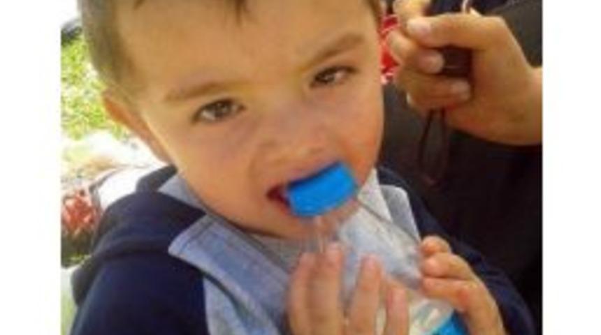 G&uuml;m&uuml;şhane&rsquo;de 2 Yaşındaki &Ccedil;ocuk Feci Şekilde Can Verdi