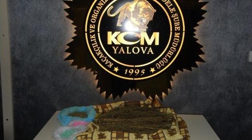 Yalova Polisinden Uyuşturucu Ve Ka&ccedil;ak Sigara Operasyonu