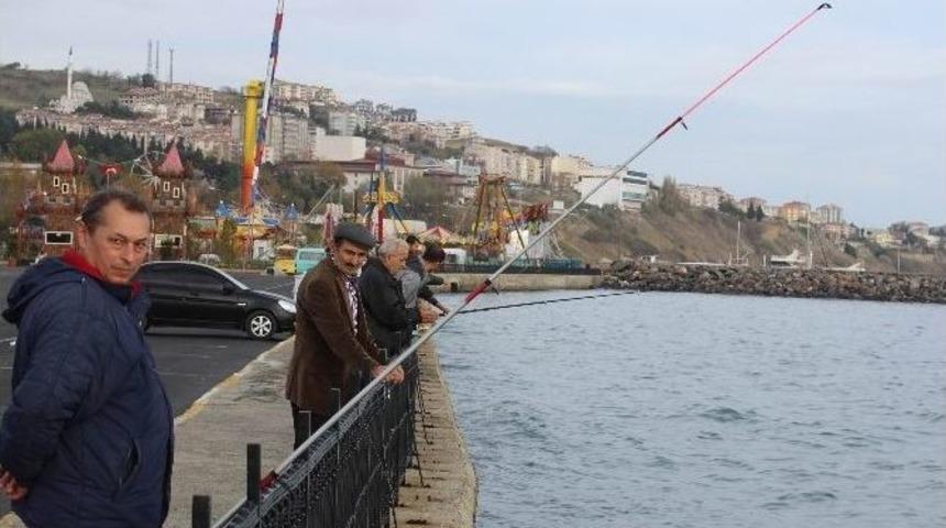 Lodos Bitti, Balık&ccedil;ılar Sahile İndi