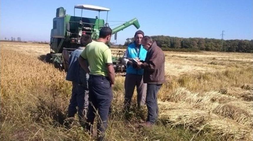 &Ccedil;eltik Ve Soya Hasat Sonu Raporu