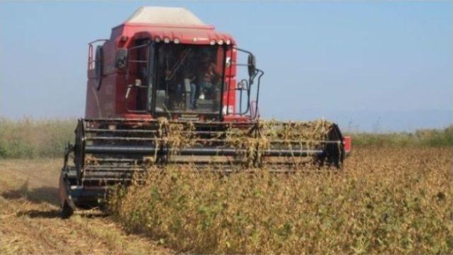 Çeltik Ve Soya Hasat Sonu Raporu