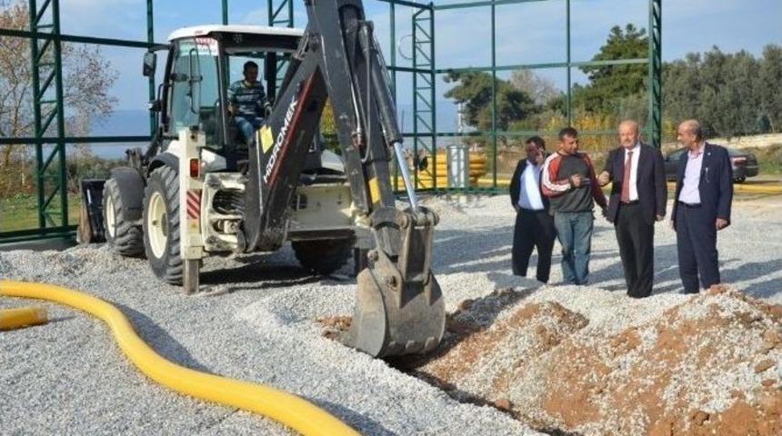 İznik Semt Sahalarına Kavuşuyor