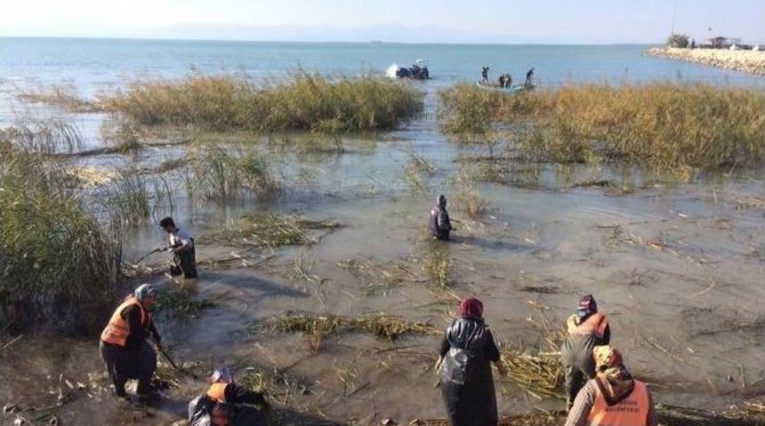 Beyşehir G&ouml;l&uuml; Kıyısındaki Sazlıklar Kesiliyor