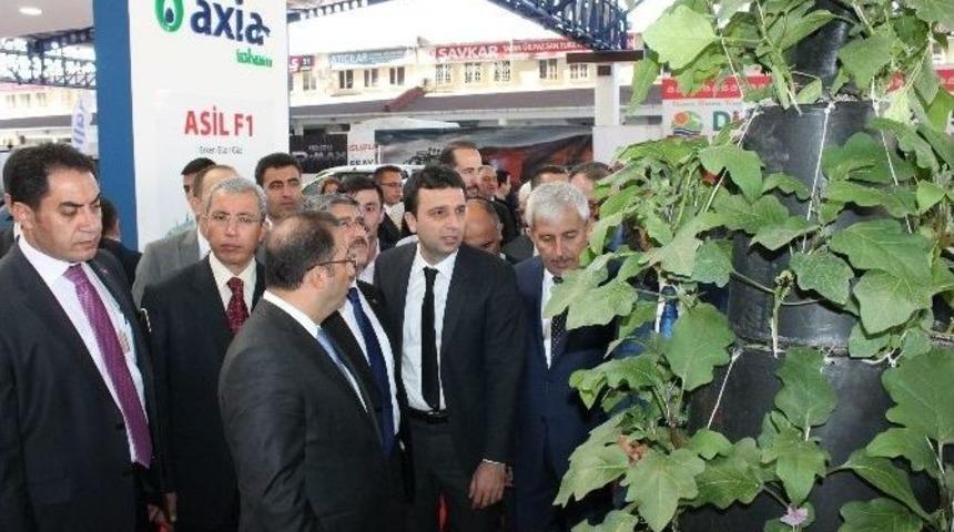 Dikey Tarım Aparatı İle Bir Metrekareden Kilolarca &Uuml;r&uuml;n Alınabilecek