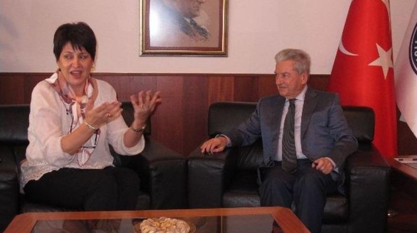 T&uuml;rk Tarımına Romanya Dopingi