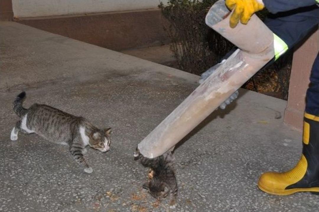 (&ouml;zel Haber) Yağmur Suyu Tahliye Borusuna Sıkışan Kediyi İtfaiye Ekipleri Kurtardı